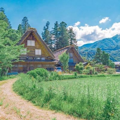 挑战你没玩过的植物大战僵尸6